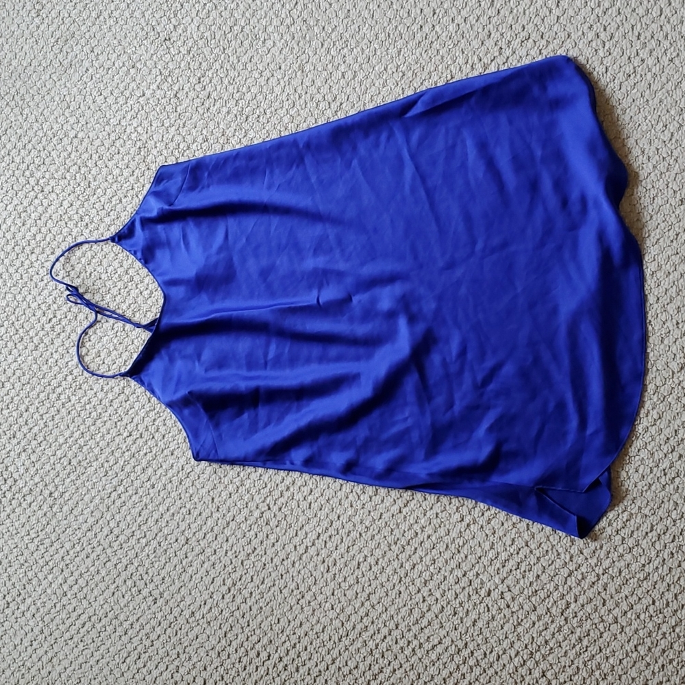 EUC sleep chemise by VS